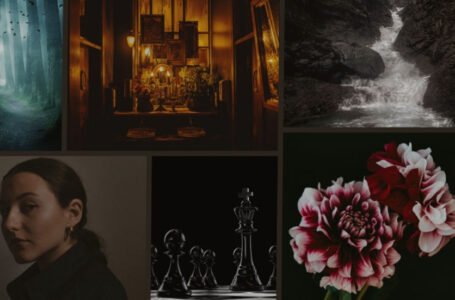 Dark, Moody Color Palette: How Warm and Cool Tones Change the Ambiance