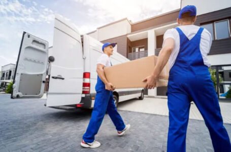 Why Two-Man Delivery Service in the UK Is Revolutionizing Home Deliveries