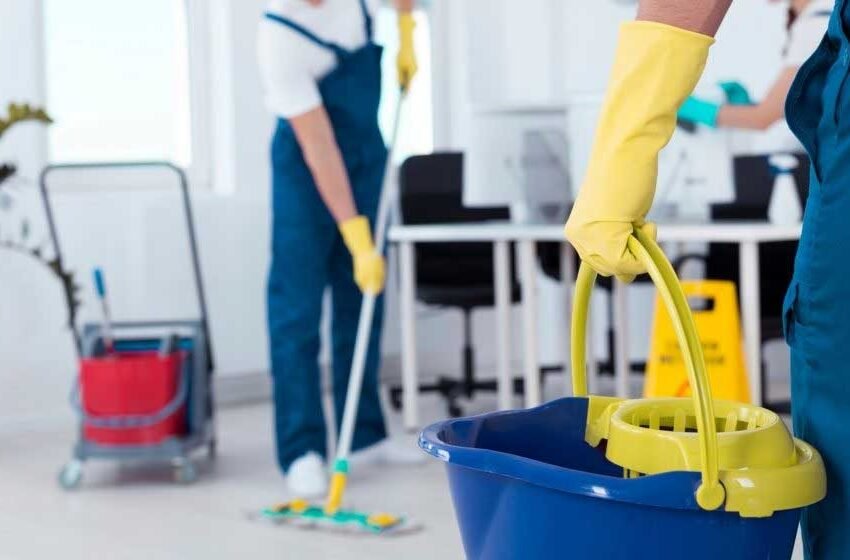 Inside the World of Professional Building Maintenance Experts