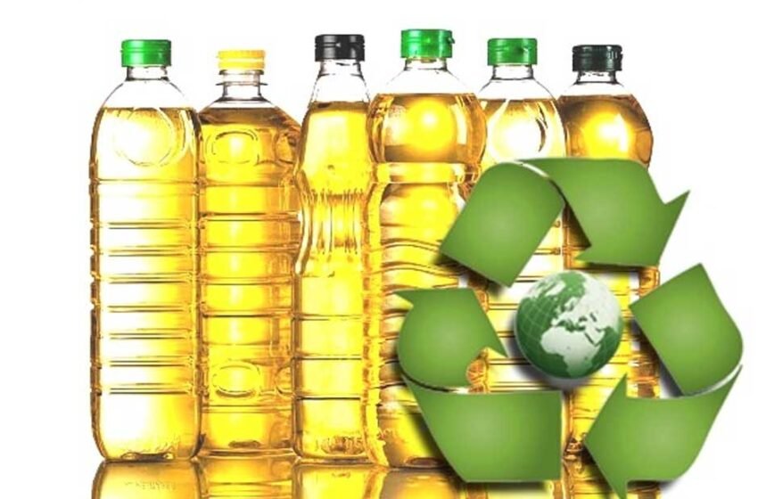 The Importance of Recycling Cooking Oil to Help the Environment in Miami and Beyond