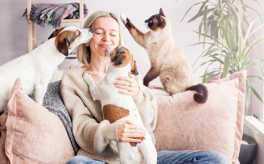  Here’s How Holistic and Natural Pet Care Is Changing the Way We Raise Cats and Dogs