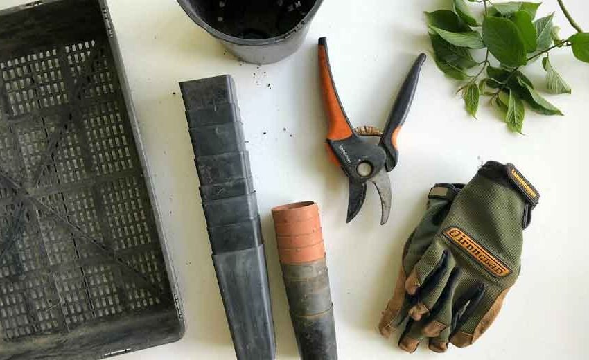The Top 5 Tools for a Tidy Outdoor Space