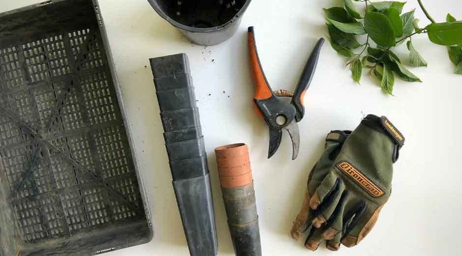 The Top 5 Tools for a Tidy Outdoor Space