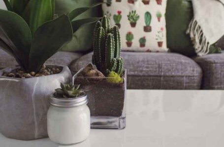 Signs-Your-Home-Might-Need-a-Little-Extra-Care