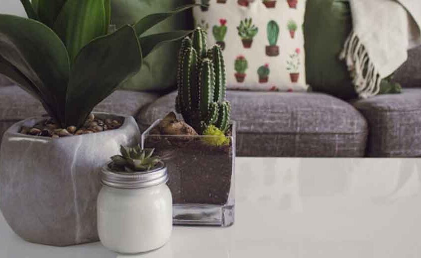 Signs Your Home Might Need a Little Extra Care