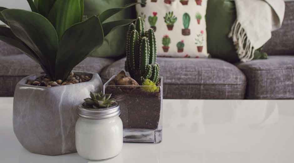 Signs-Your-Home-Might-Need-a-Little-Extra-Care